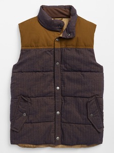 Cozy Vest