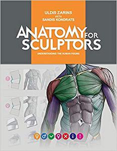 Книга Anatomy for Sculptors Understanding the Human Figure by Uldis Zarnis