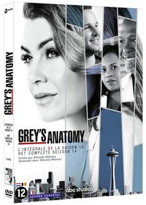 Grey's Anatomy - Saison 14