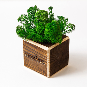 MossBox Fire Green Cube