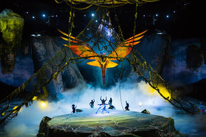 Билет в Cirque Du Soleil