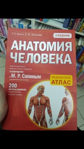 Учебник анатомии