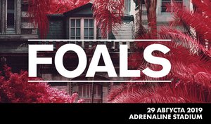 билет на foals