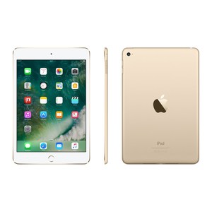 iPad mini 5