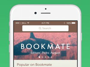 годовая подписка на bookmate