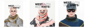 West Knits Books (1 Shawls, 2 Sweaters, 3 Shawl Evolution)