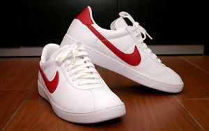 Nike Bruin