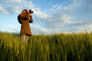 Birdwatching