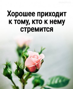 позитивное принятие