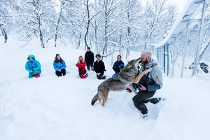 Подорож в Polar Park, Narvik