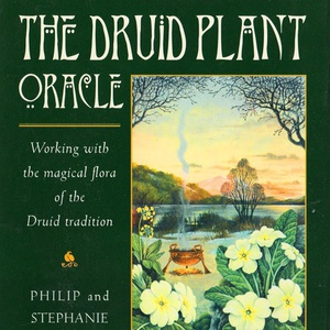 The Druid Plant Oracle