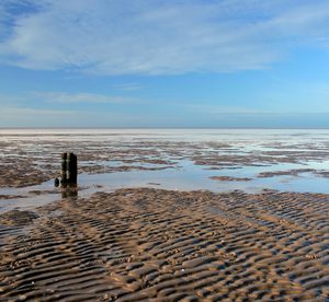 61. Ваттовое море - Wattenmeer