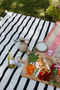 picnic in a park