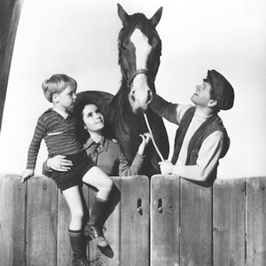 national velvet