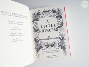 A Little Princess by Frances Hodgson Burnett