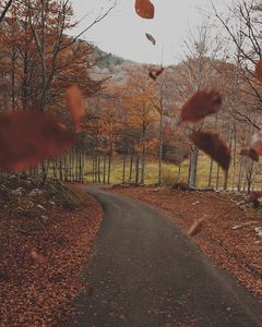 walk along the beltline trail