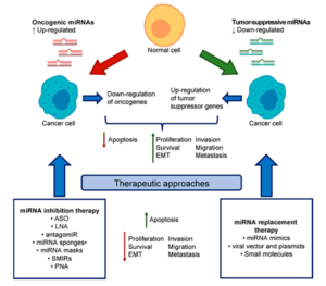 cd20 cd3 bispecific