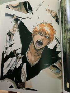 Артбуки: от Bleach или Миядзаки до Властелина колец или Острова собак