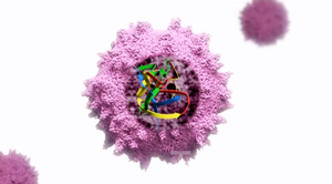 peptide nucleic acid