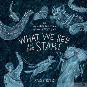 What We See in the Stars. An Illustrated Tour of the Night Sky