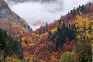 Сгонять в отпуск