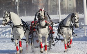 прокатиться на тройке