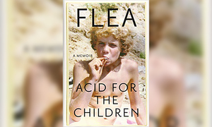 Book 'Acid for the children'