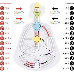 консультировать по human design
