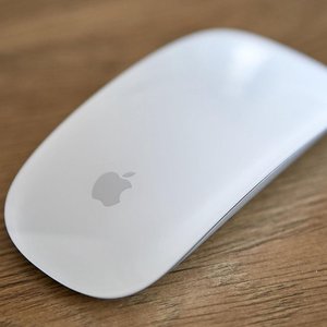 Apple mouse