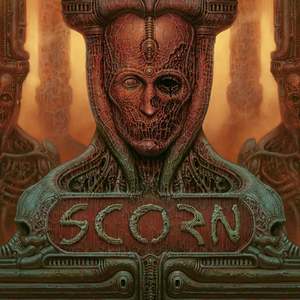 scorn