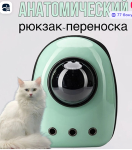 Рюкзак переноска для кота