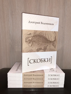 Дмитрий Воденников "Скобки"