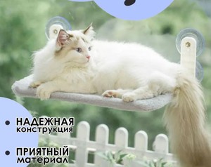 Гамак для кошек