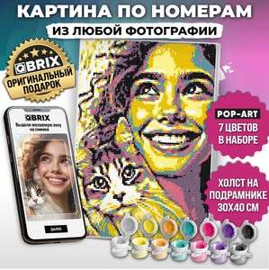 Картина по номерам из любой фотографии QBRIX POP-ART A3