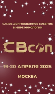 Билет на CBCON 2025