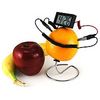 Часы Fruit Powered Clock