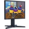 19" TFT Display ViewSonic VP930