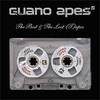 Guano Apes - The Best & The Lost (T)Apes