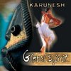 диски группы Karunesh