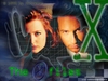 Все сезоны The X-files на лицензионных DVD