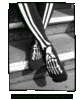 Creepy Bones Kneehighs