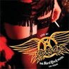 Aerosmith "Rockin' The Joint"