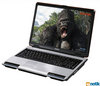 Toshiba Satellite P100-324