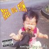 Reel Big Fish - Everything Sucks