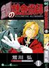 Fullmetal alchemist