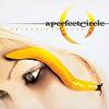 все диски A Perfect Circle