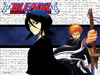 Bleach