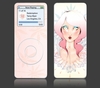 iPod Nano Skins