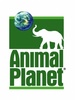 Animal Planet