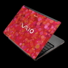 Ноутбук Sony VAIO VGN C290P Red Storm